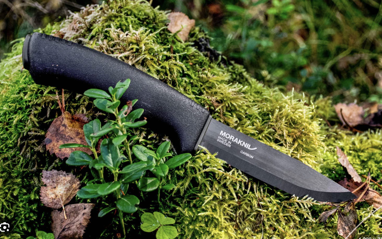 dao bushcraft khác gì dao dã ngoại ?